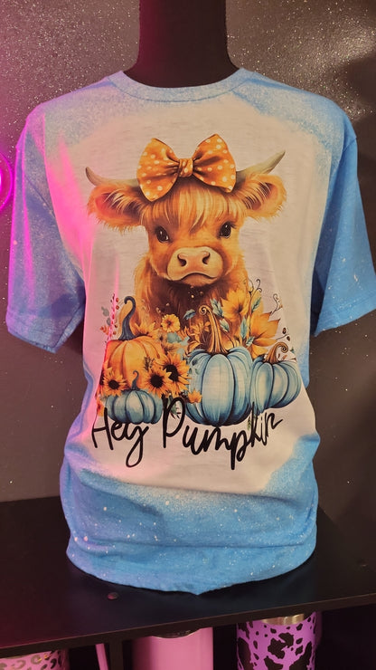 Hey Pumpkin Bleached T-Shirt