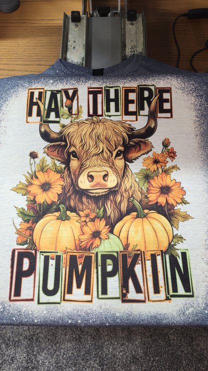 Gray Hay There Pumpkin Bleached T-Shirt