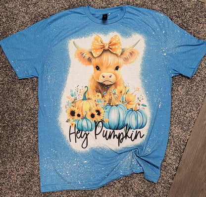 Hey Pumpkin Bleached T-Shirt