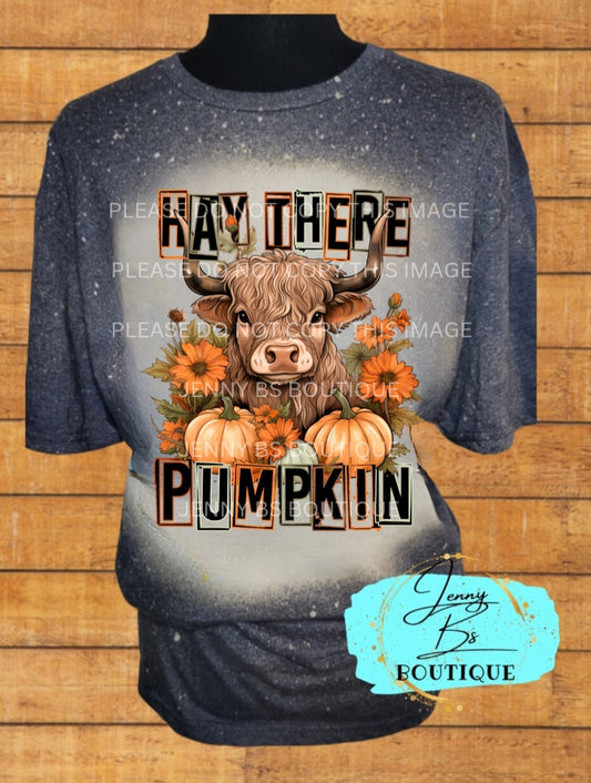 Gray Hay There Pumpkin Bleached T-Shirt